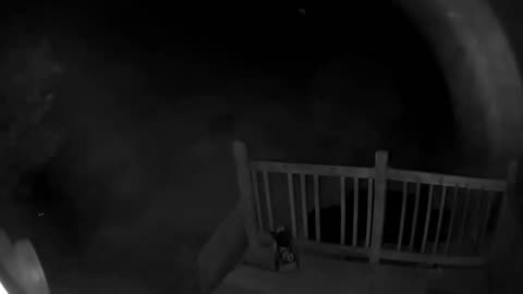 🤯👻 Questioning My Sanity... I Got an Alert 2 Nights Ago... What Could It Be? | TheHauntingHour