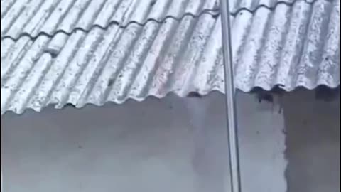 “世界揭露32環保騙局02”高溫下的太陽能電池板，顯露出重大公共安全及超高度污染問題，對人類生活、對自然環境反而產生更大的危害！