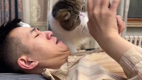 man and cat look mobile funny time video 2025 skc.com 34