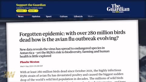 פיטר מקאלו אומר שזן החדש של שפעת העופות מקורו במעבדה הוא מהונדס גנטית