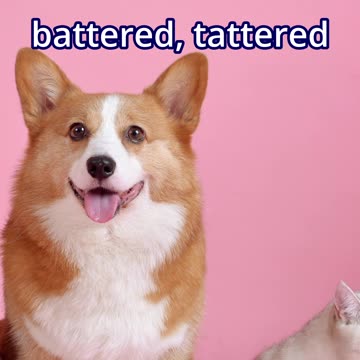 Voluntary Solitary - a little bit punk, a little bit funk