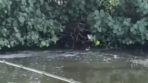 lagi mancing kirain di straike ikan ternyata ini