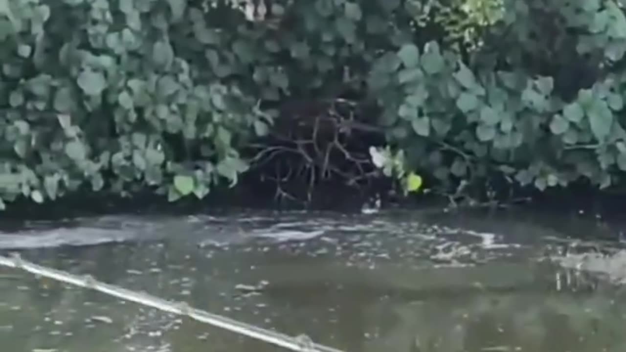 lagi mancing kirain di straike ikan ternyata ini