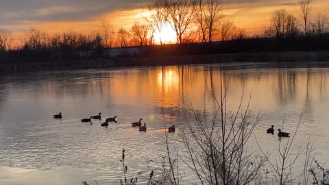 January 2, 2026 - The Beauty of a Winter’s Morning