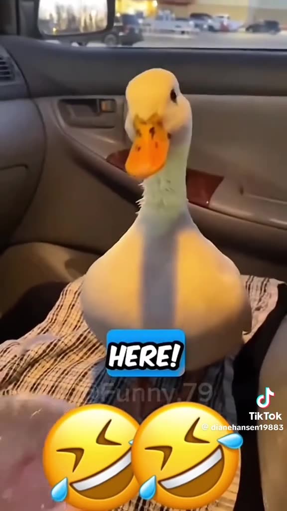 GIGGLY😂 THURSDAY 12/4/25