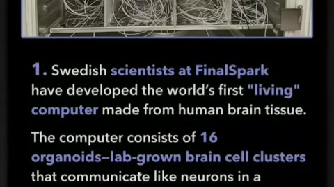 Organoids 🔍🐇