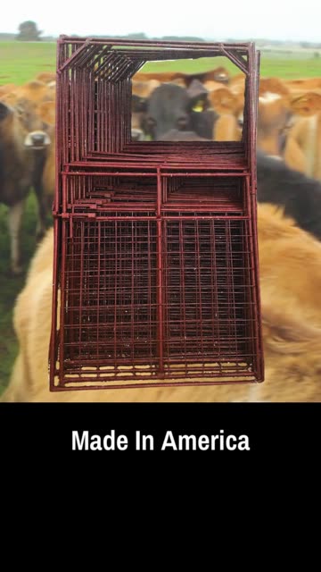 Small Livestock Bow Gates