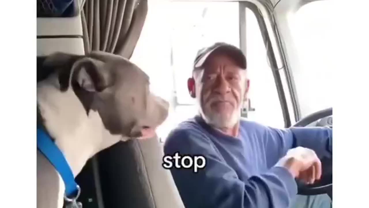 Woe Day 40. I am in the ark. Waiting for GOD to open the Door for a spring/summer Pentecost rapture