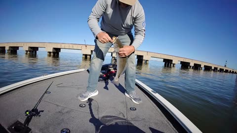 BIG TROUT Breaks My ROD!