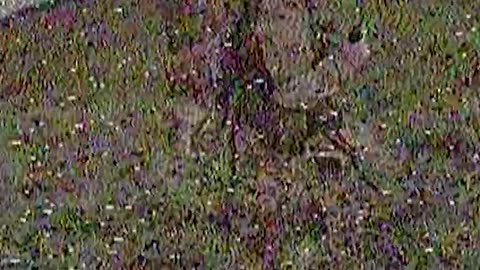 🚀🔥 Ukraine Russia War | Ukrainian 429th UAS Regiment Strikes Russian Forces in Kupyansk | RCF