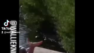 Mermaids Part 2