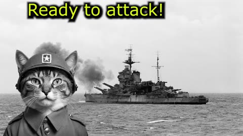 When Cats Fought in the D-Day during the WW2 (Ep.62)