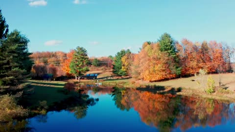 Creative Flow: Classical Lofi Edition