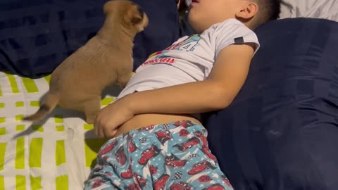 Puppy Serves As Boy's Morning Alarm Clock