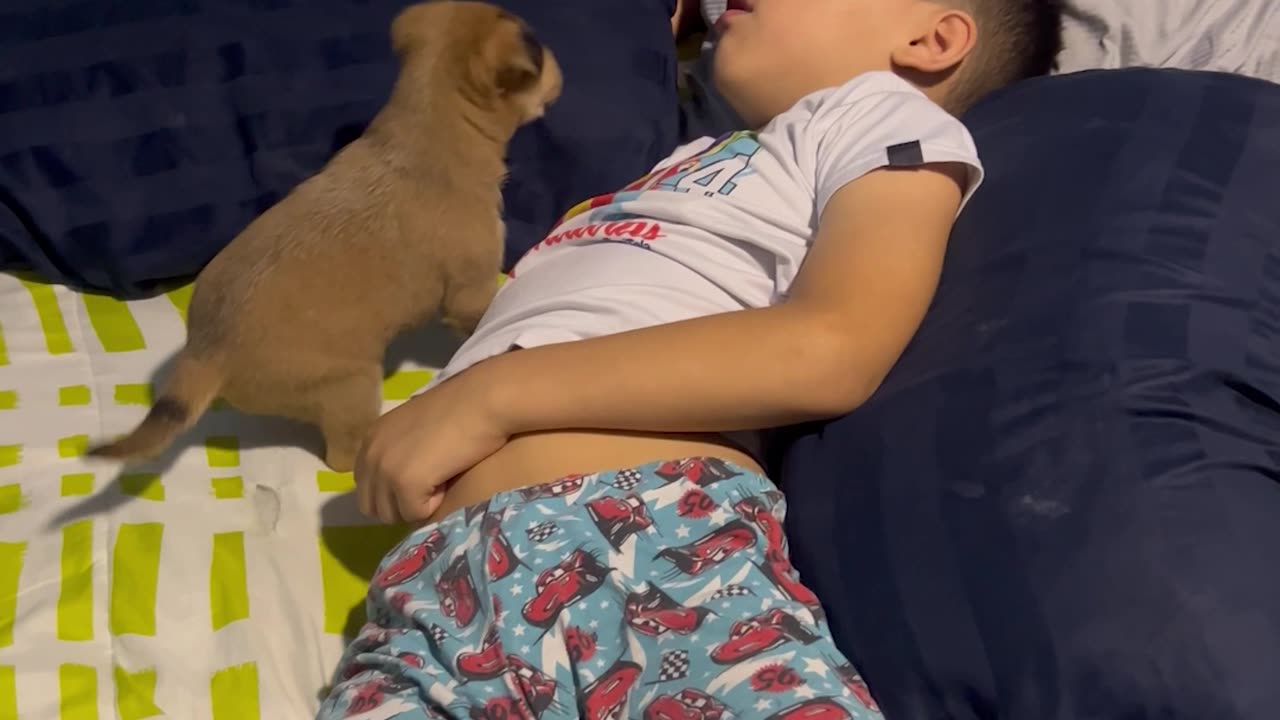 Puppy Serves As Boy's Morning Alarm Clock