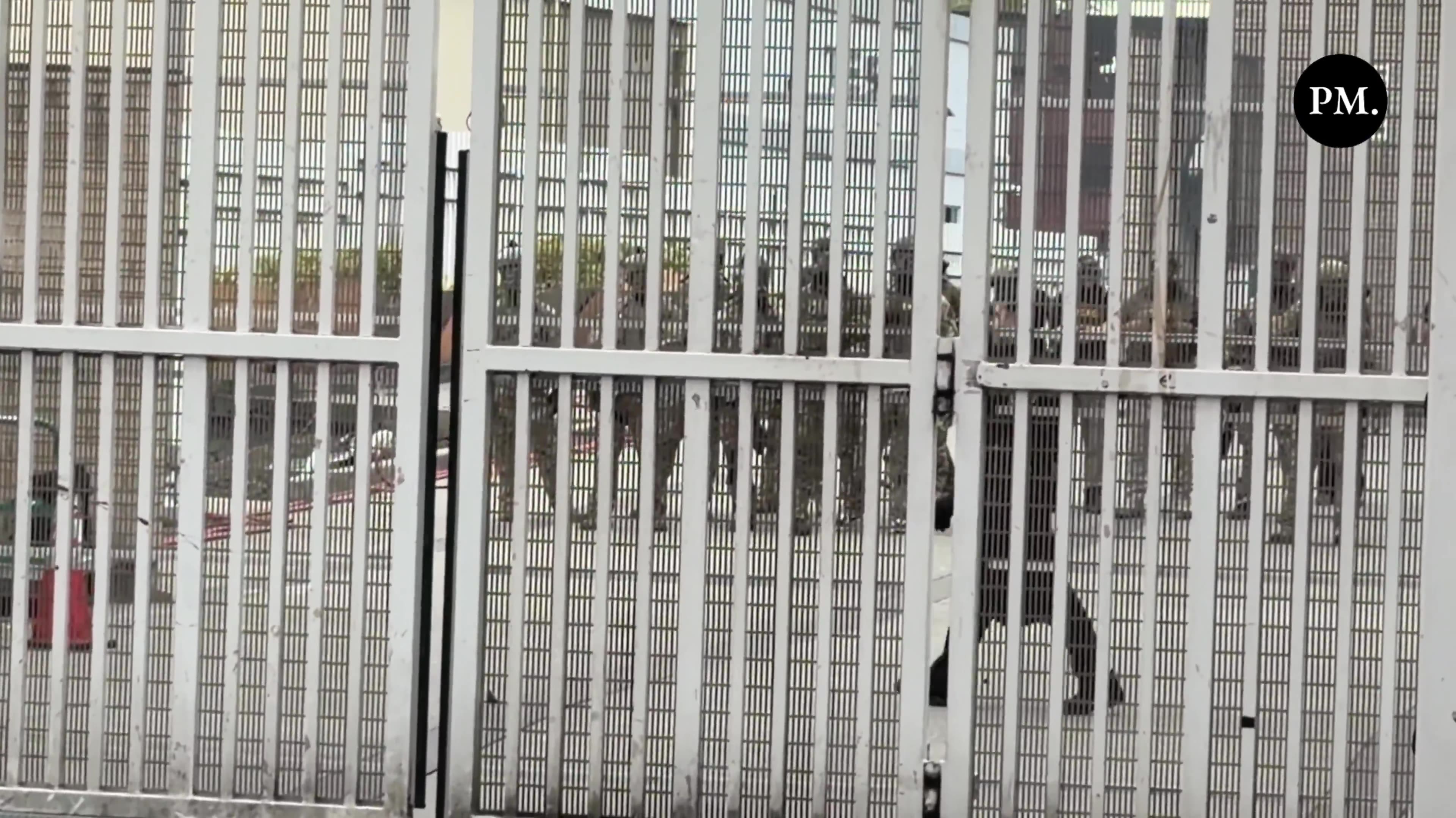 Conservatives are demanding the ARREST of this devout member of Antifa in Portland,