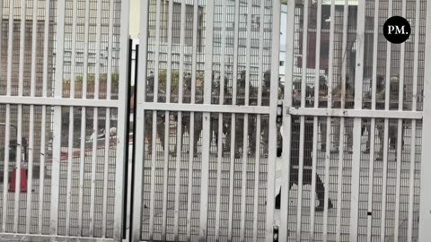 Conservatives are demanding the ARREST of this devout member of Antifa in Portland,