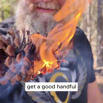 Don't PASS up Pinecones, here’s why!