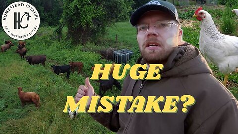 We Sold Our Cattle Breeding Herd! #42