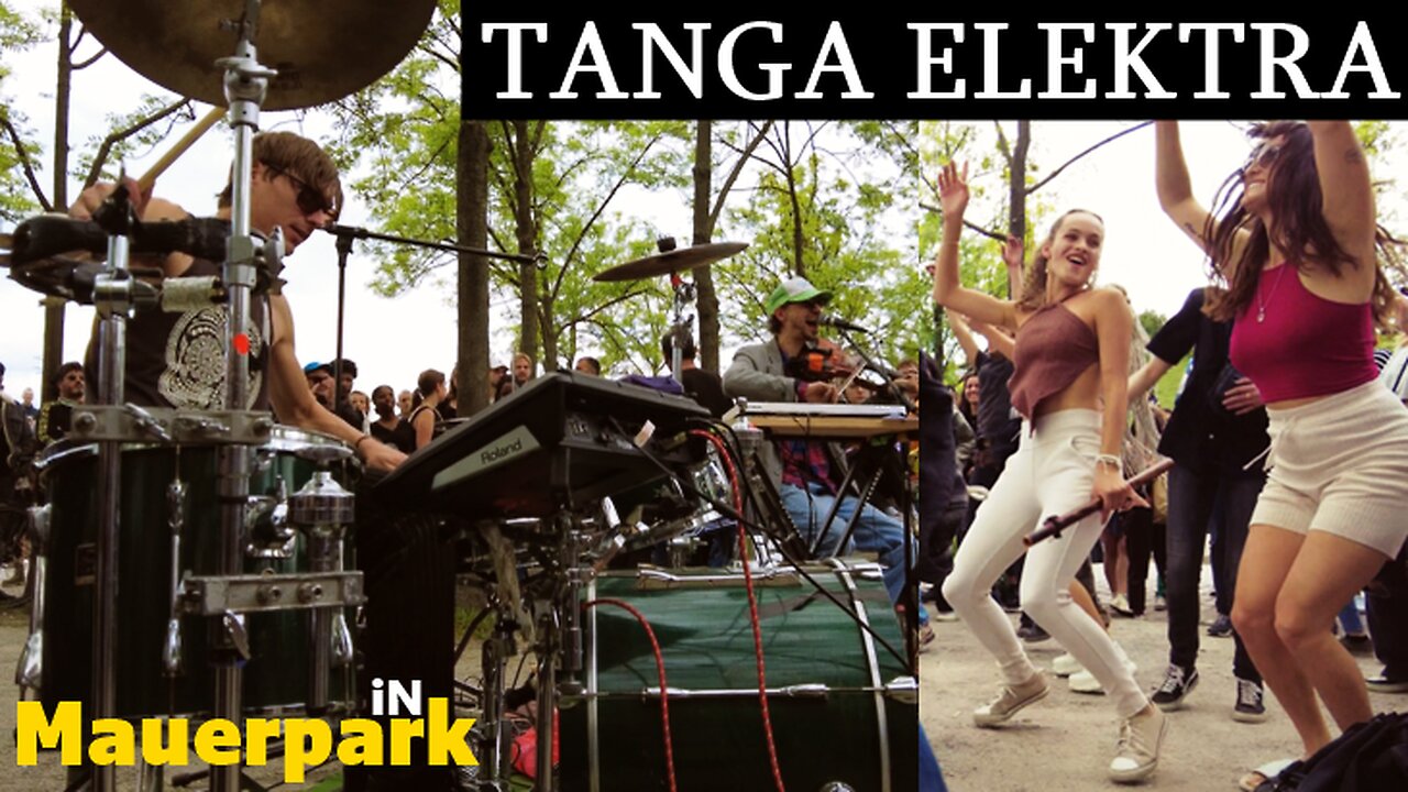Everybody Loves TANGA ELEKTRA!!