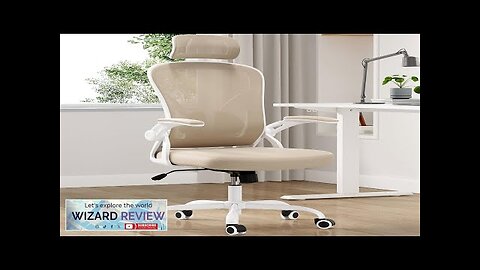 Farini Ergonomic Office Chair Home Office Desk Chair with Headrest High Back Review