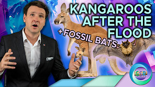 Kangaroos After the Flood + Fossil Bats | Genesis Science Report with David Rives | S02 Ep006