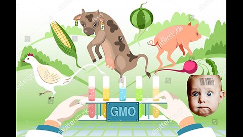 Genetically Modified Foods, Animals & Humans