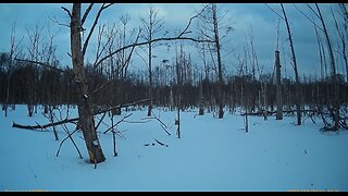 Es gibt keine menschengemachte Klimaerwärmung! Nur Geschäftsmodelle!