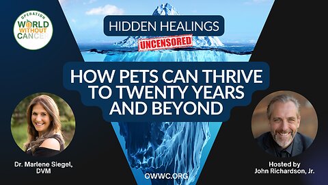 How Pets Can Thrive to Twenty Years and Beyond