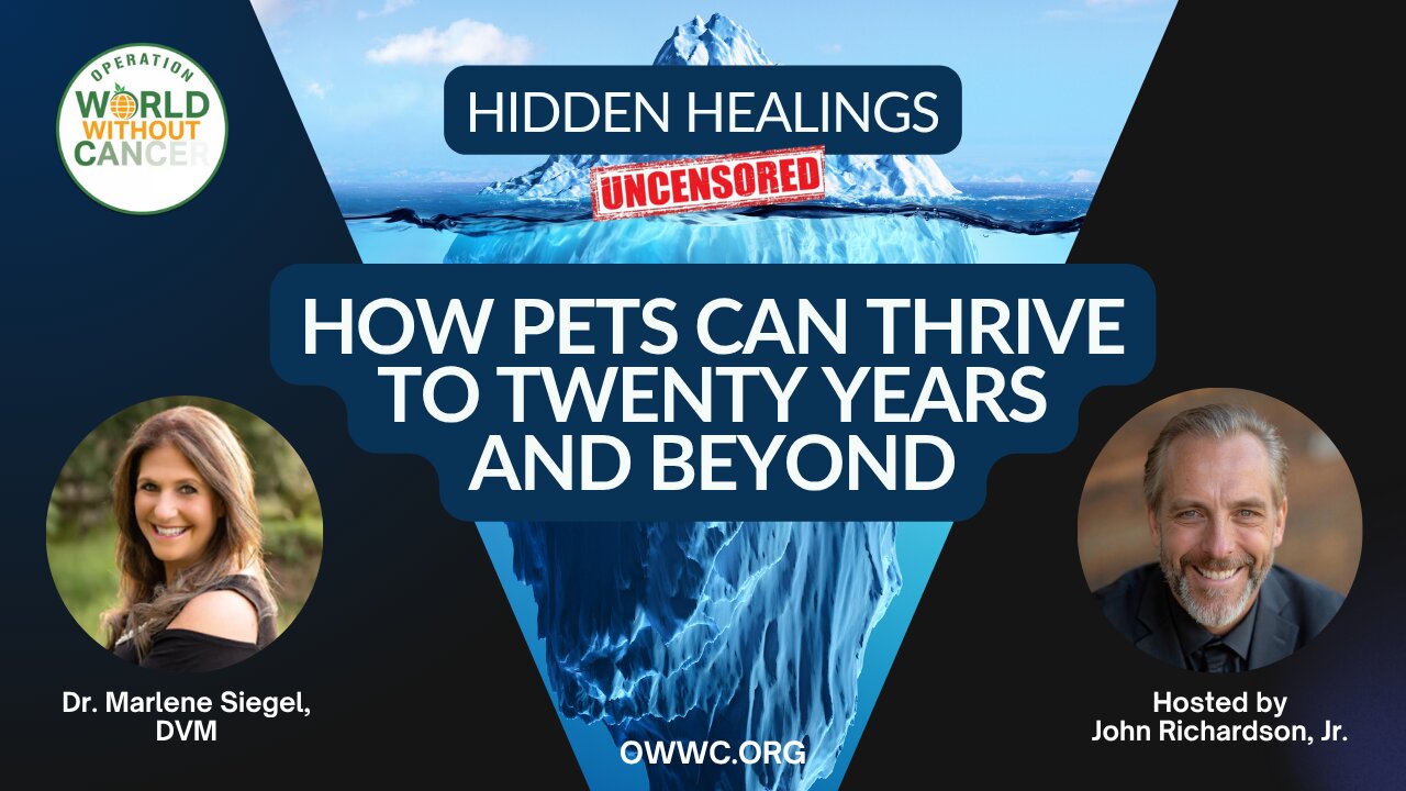 How Pets Can Thrive to Twenty Years and Beyond