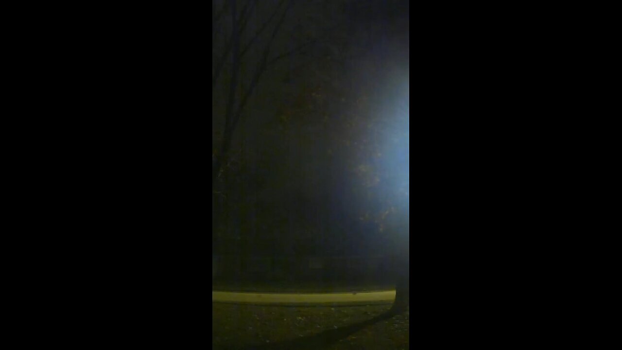 holographic interfacing