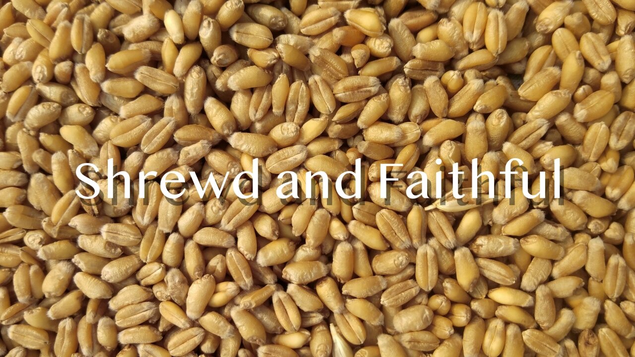 Shrewd and Faithful - Luke 16:1-13 - 18th Sunday after Pentecost - October 12, 2025
