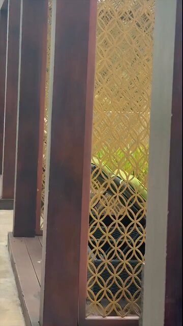 Hania amir 💝❤️