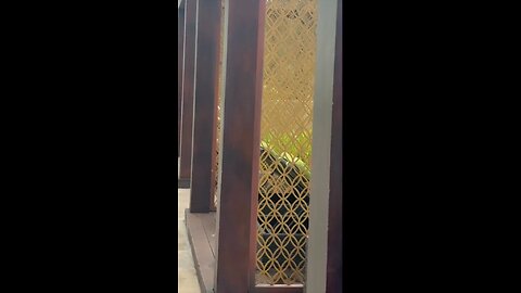 Hania amir 💝❤️