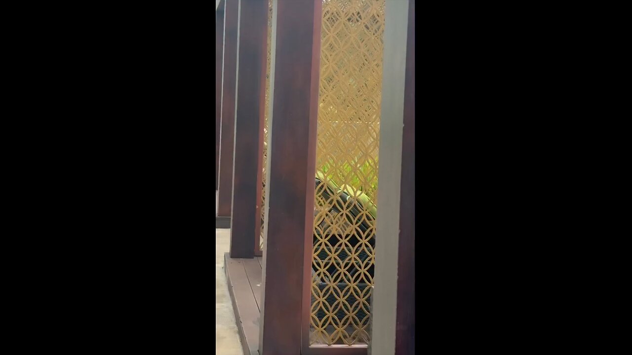 Hania amir 💝❤️