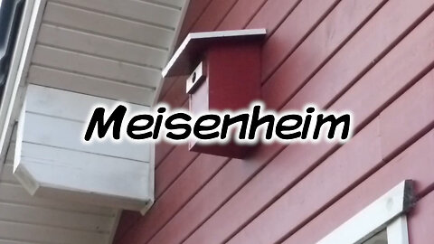 Meisenheime aus Leimholz