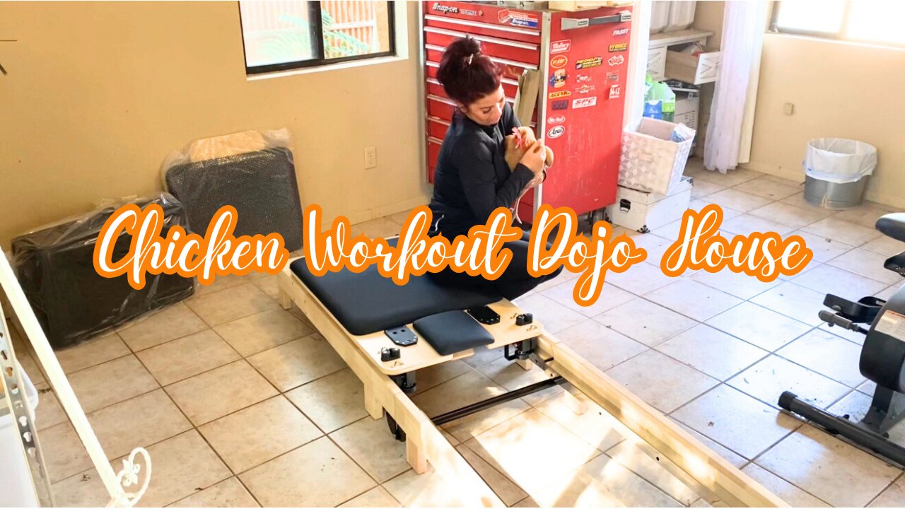 Extreme Clean & Declutter 🧼 Chicken Workout Dojo Transformation + Home Gym Build 💪