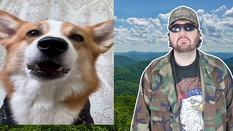 Dog And Cat Clog Toilet (Hammy And Olivia) - Reaction! (BBT)