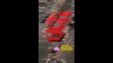 35lbs Front Delt Raises (Lite) [Right-Side] | #fitness #shorts #shoulders 💪