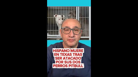 HISPANO MUERE EN TEXAS TRAS SER ATACADO POR SUS DOS PERROS PITBULL