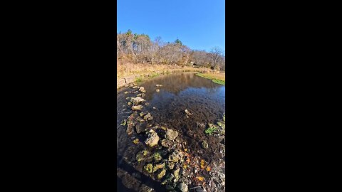 Apple river Canyon State Park Illinois