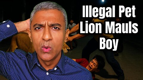 Illegal Pet Lion Escapes in Thailand and Mauls 11-Year-Old Boy Before Heroic Neighbor Saves Him