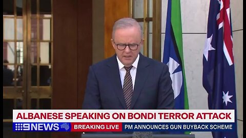 Australian PM Albanese: ‘Hundreds of Thousands of Firearms Will Be Collected and Destroyed’