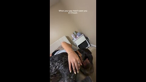 When my velcro dog hasn’t seen my in a few hours😂💕 #gsp #dogvideos