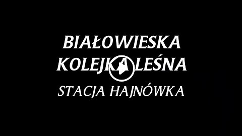 BIAŁOWIESKA KOLEJKA LEŚNA. STACJA HAJNÓWKA