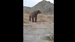 This Llittle One Carries So Much Hope & Future On Its Shoulders