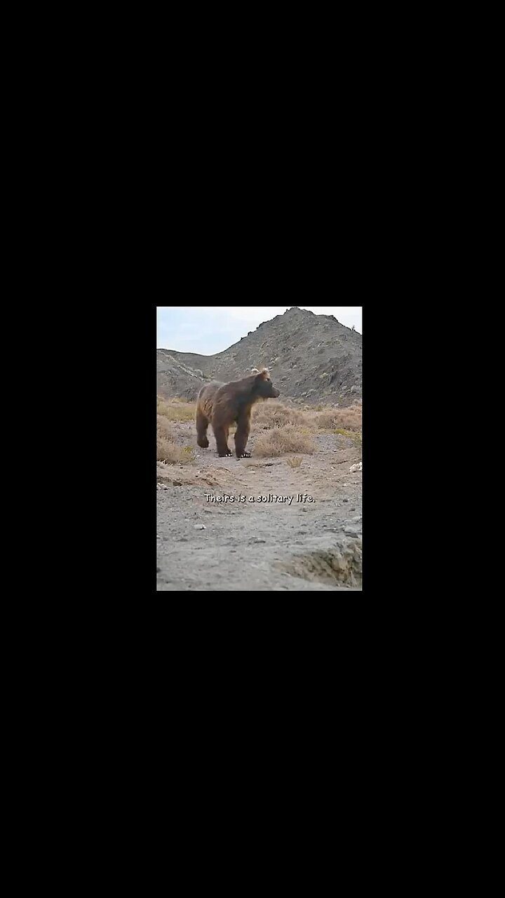 This Llittle One Carries So Much Hope & Future On Its Shoulders