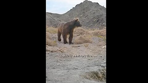 This Llittle One Carries So Much Hope & Future On Its Shoulders