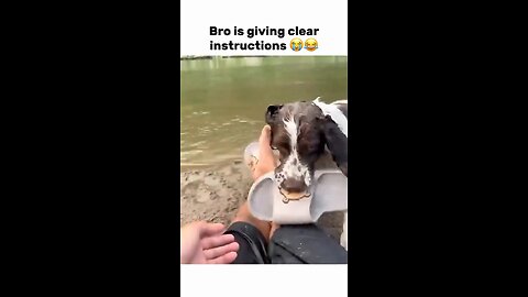 How to Train a Human