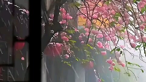 Beautiful view with rain sound